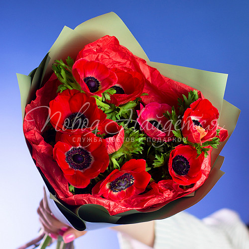 АНЕМОНЫ Весна красна