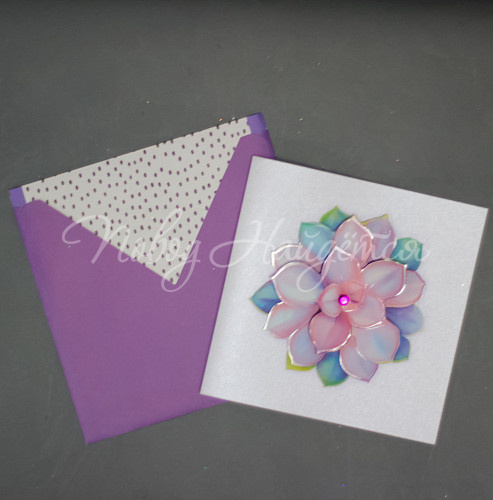  Открытка (цветок)