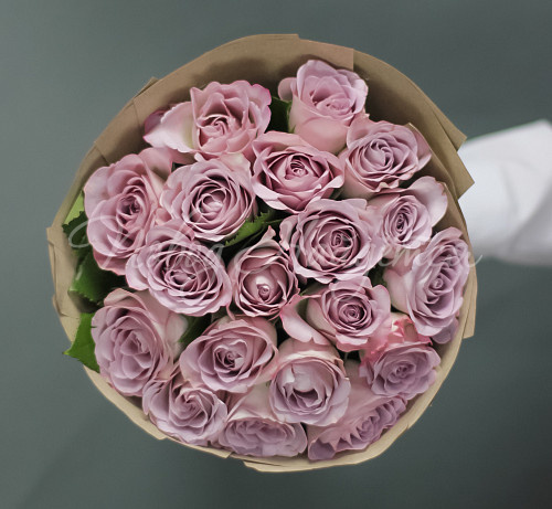 РОЗЫ Грёзы фламинго