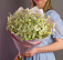 Камилла