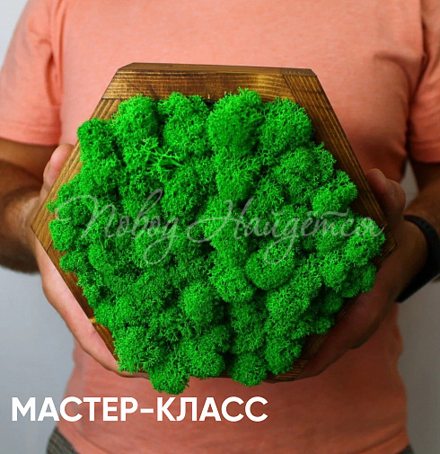 Картина из стабилизированных цветов