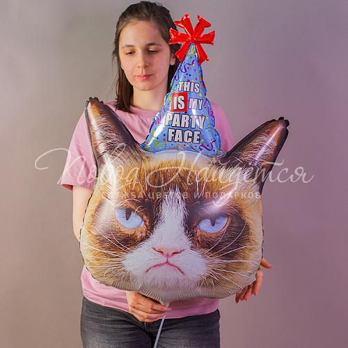 Милый котик