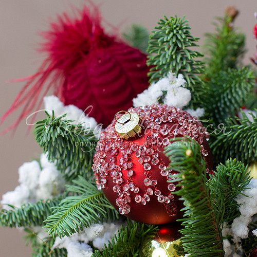 Новый год Морозный день