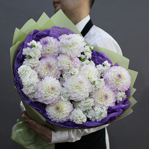 ГЕОРГИНЫ Портофино