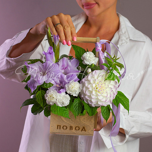 2000 - 3500 руб. Олимпия