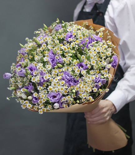 РОМАШКИ Милан