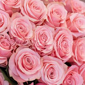 14.02 25 роз Be sweet