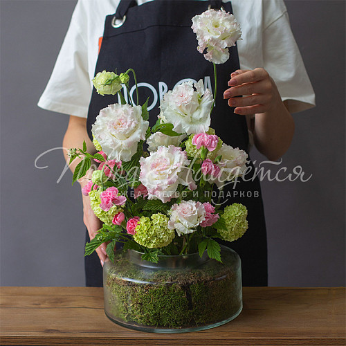 Композиции Композиция № 354